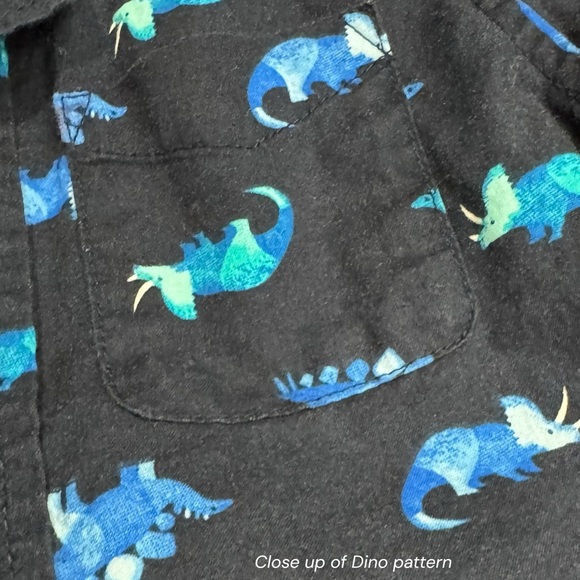 2T Dino Outfit Bundle • 3 Complete Sets + Hats • Summer Shorts Sets - Picture 4 of 14